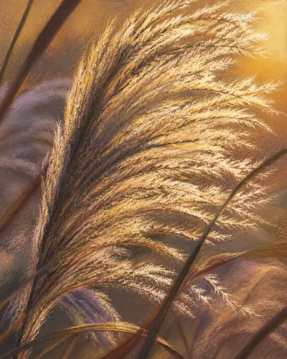 Whispers of the Fading Light