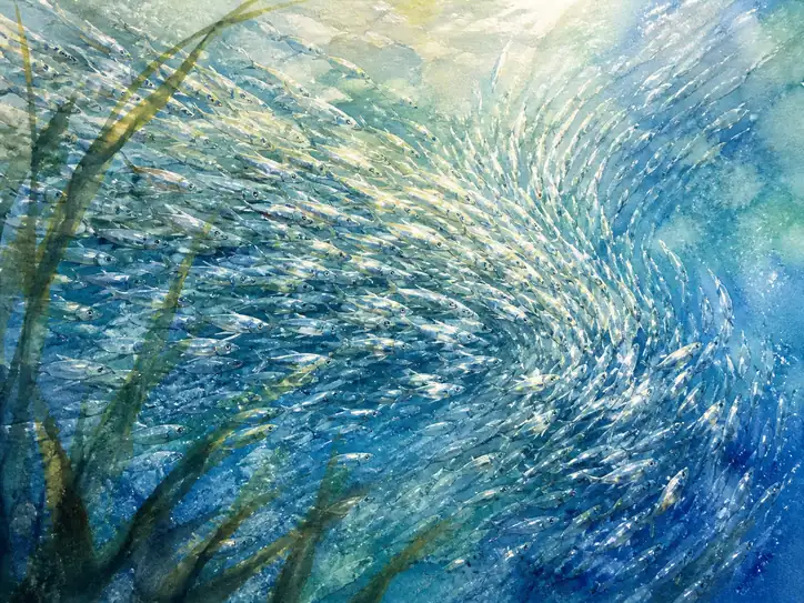 The Silver Vortex