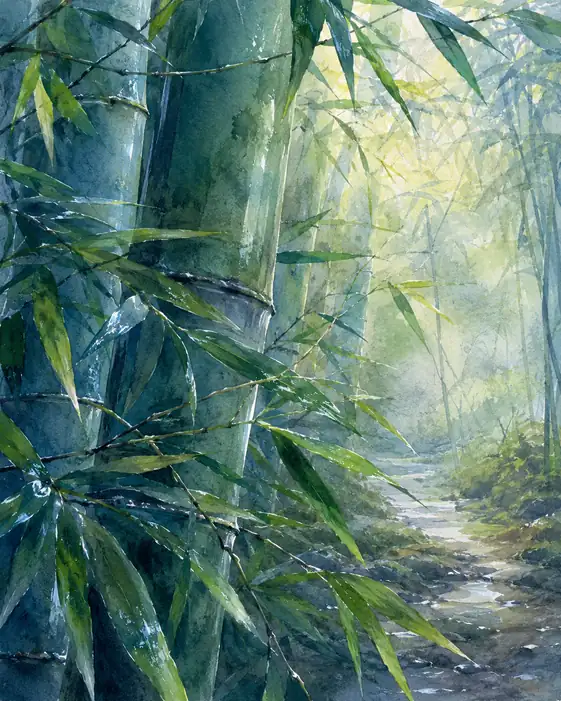 Light Dancing in the Emerald Silence