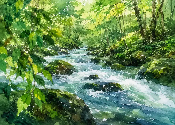 Whispers of the Early Summer Stream