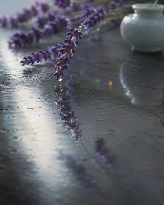Whispering Dew and Porcelain