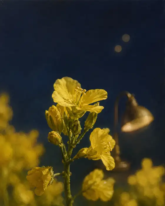 Canola Flower by the Brass Lamp