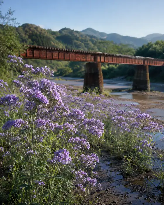Under the Bridge with Wild Asters