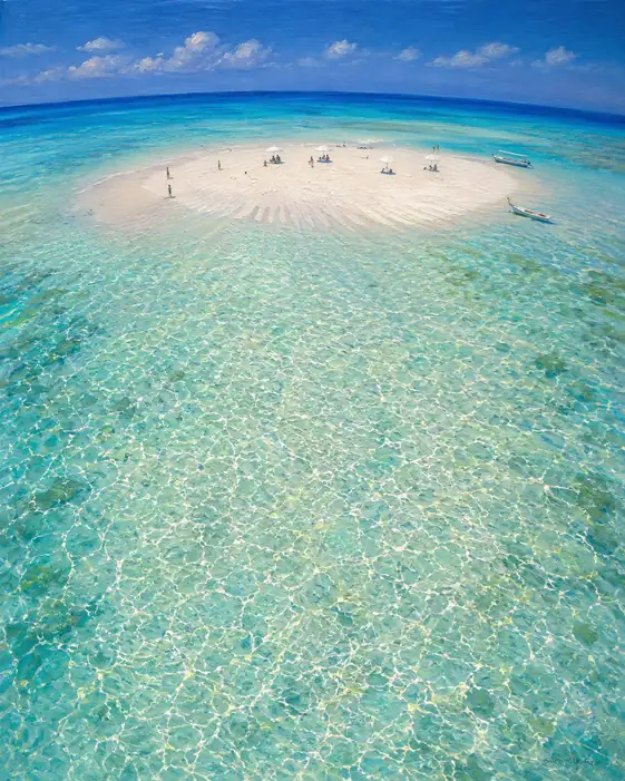 Shimmering Turquoise Waters and the White Sandbar