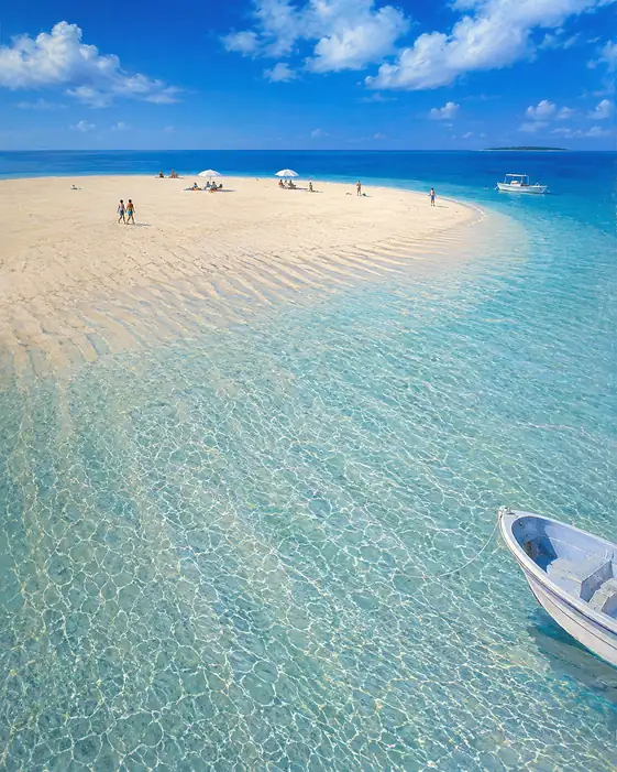 The Shore Where You Gather a Sand-Star for Every Year