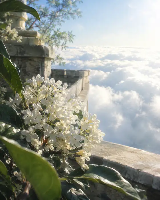 Sea of Clouds Above the White Terrace