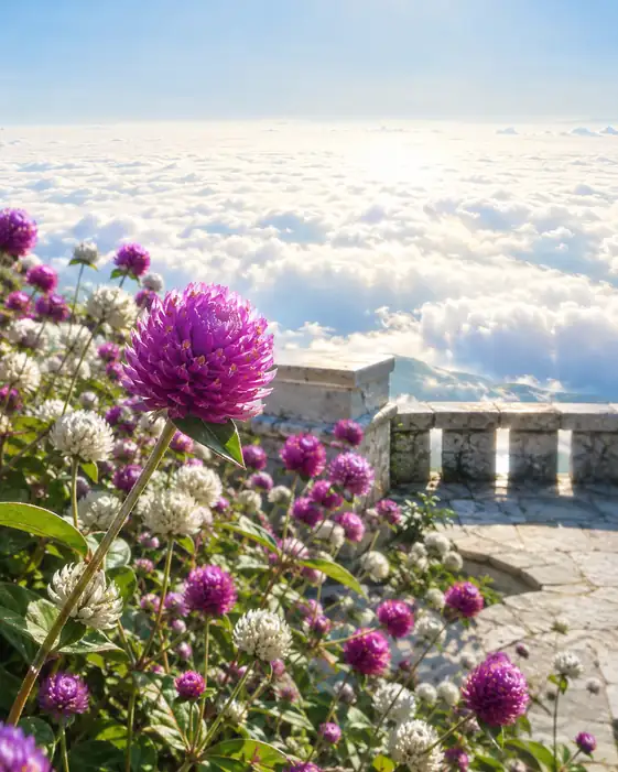 Belvedere Above the Sea of Clouds