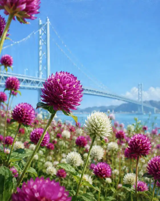 Suspension Bridge and the Seaside Amaranth