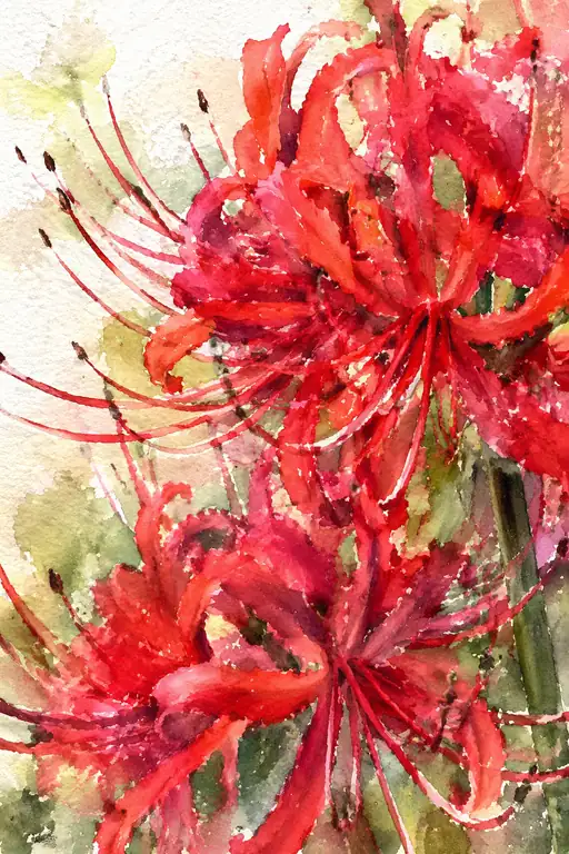 Crimson Threads of Memory