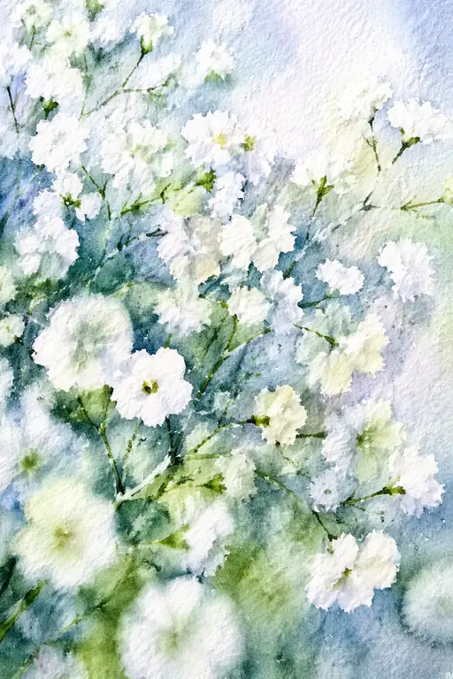 Airy Watercolor Gypsophila
