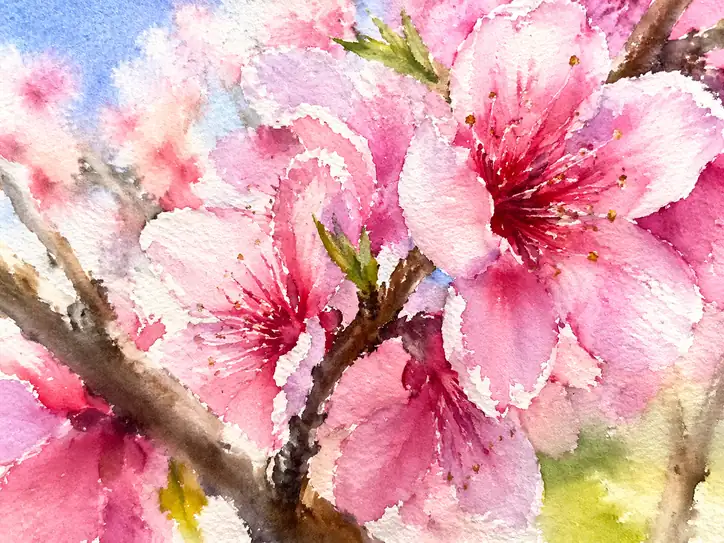 Spring Awakening