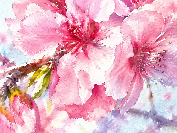 Spring's Vitality