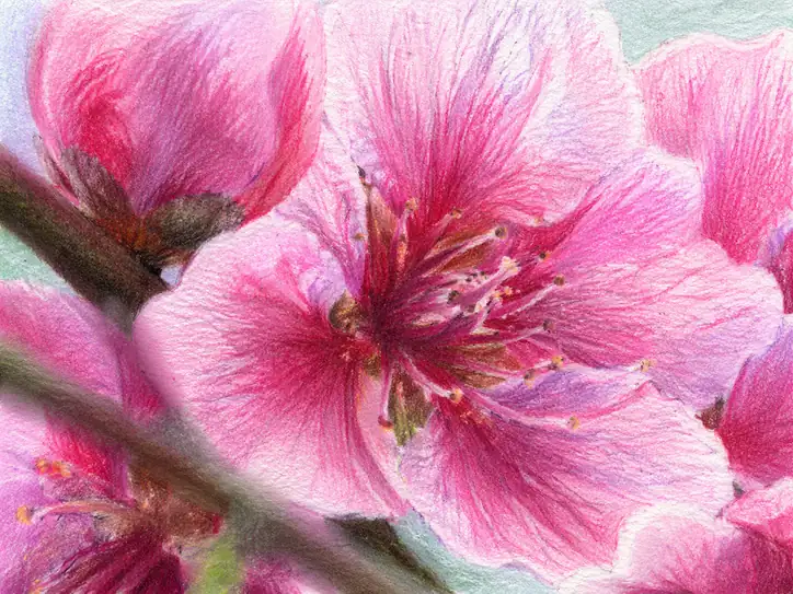 Meticulous Blossom