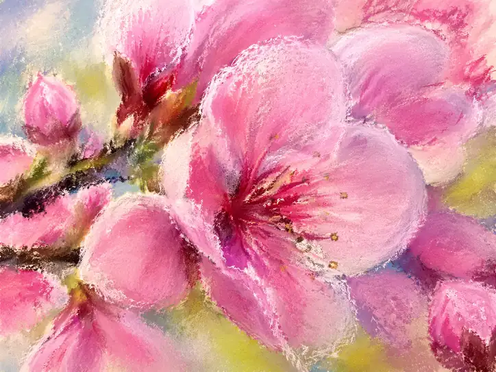 Soft Splendor