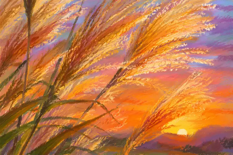 Whispers of the Golden Dusk: Pampas Grass in Autumn