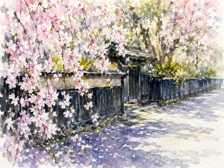 枝垂れ桜が囁く春の刻
