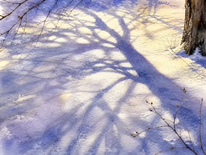 雪原に綴られた藍色の静寂
