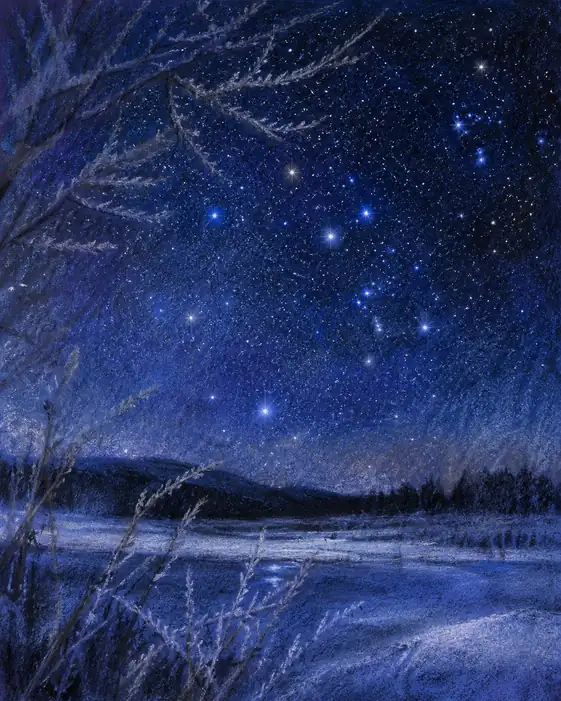 星屑と雪原が奏でる静寂の交響曲