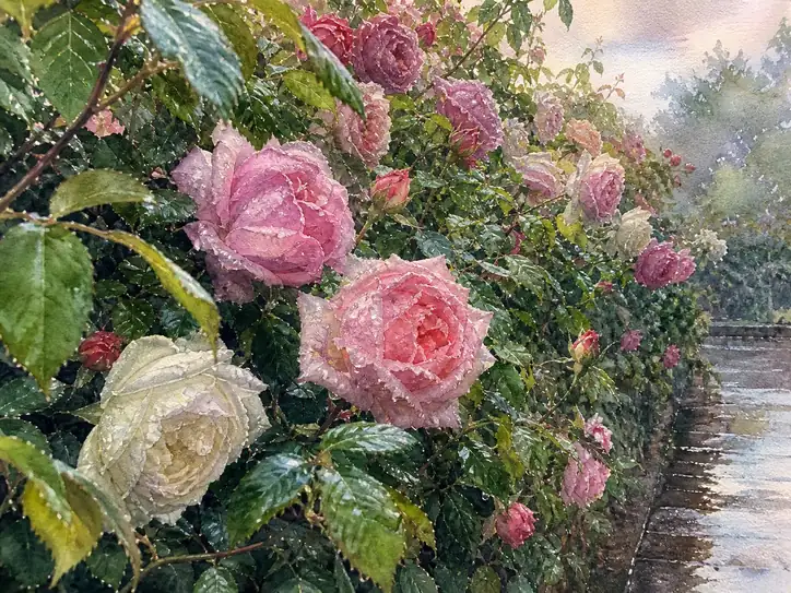 Diamonds of the Rose Garden Fog