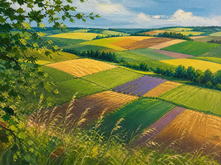 The Golden Patchwork of Rolling Hills