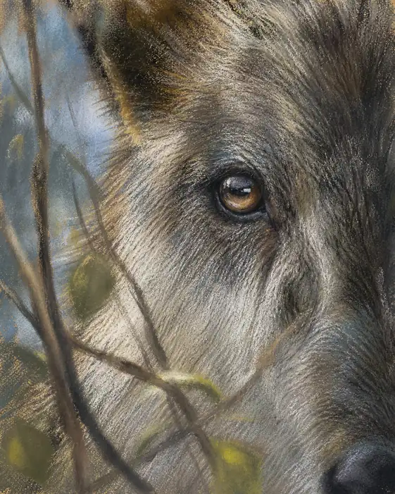 Gaze from the Thicket