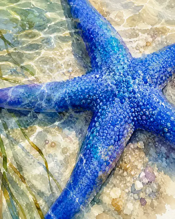 浅瀬に眠る静かな蒼