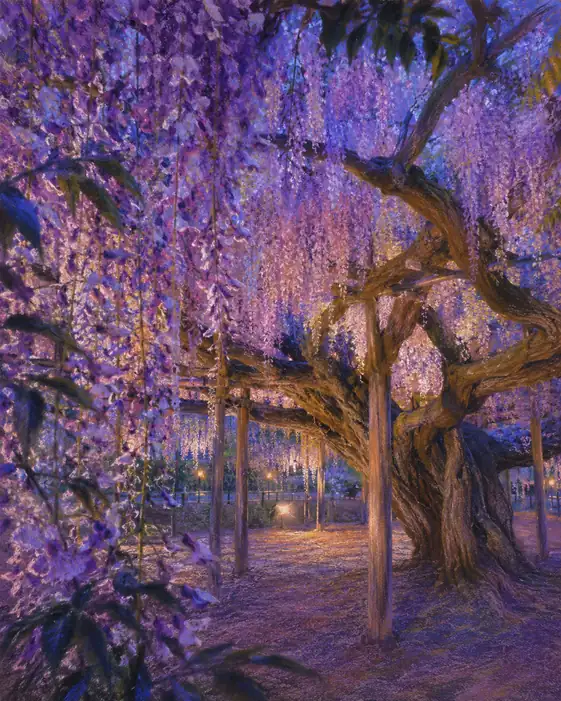 夜の深淵に灯る、紫の滝の祈り