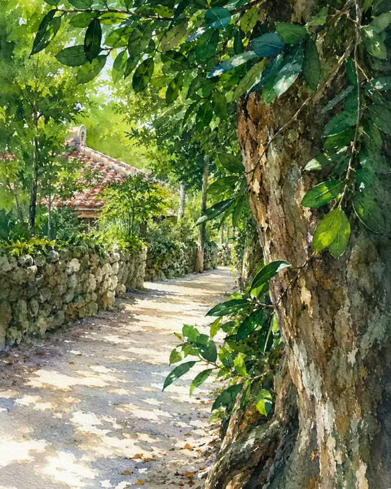 Sunlight through the Southern Leaves