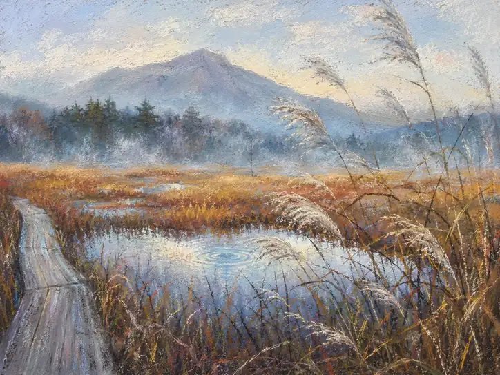 Whispers in the Mist: A Quiet Journey Through Senjogahara