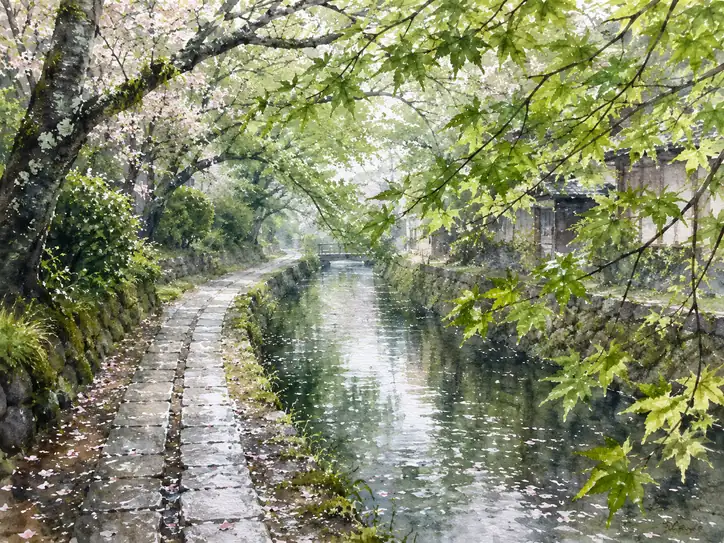 花びら流れる、静寂の小径