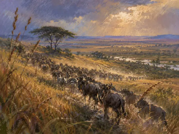 The Primal Journey