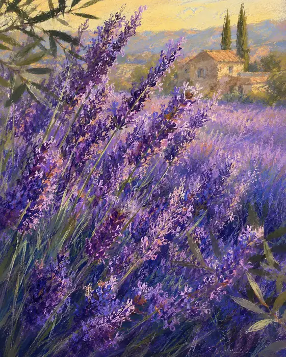 Where Lavender Scent Meets the Wind
