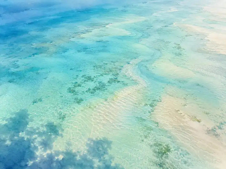 Rhythms of the Shallow Tide
