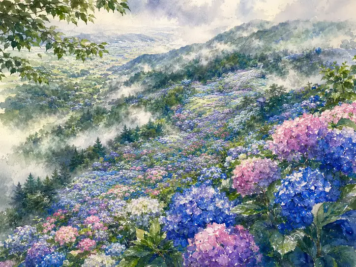 After the Rain: A Hydrangea Dream