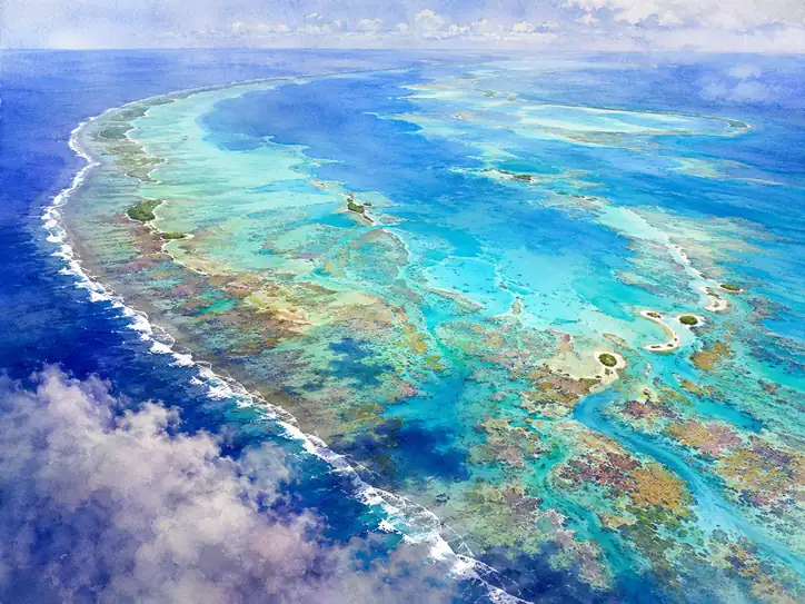 The Living Mosaic of the Turquoise Reef