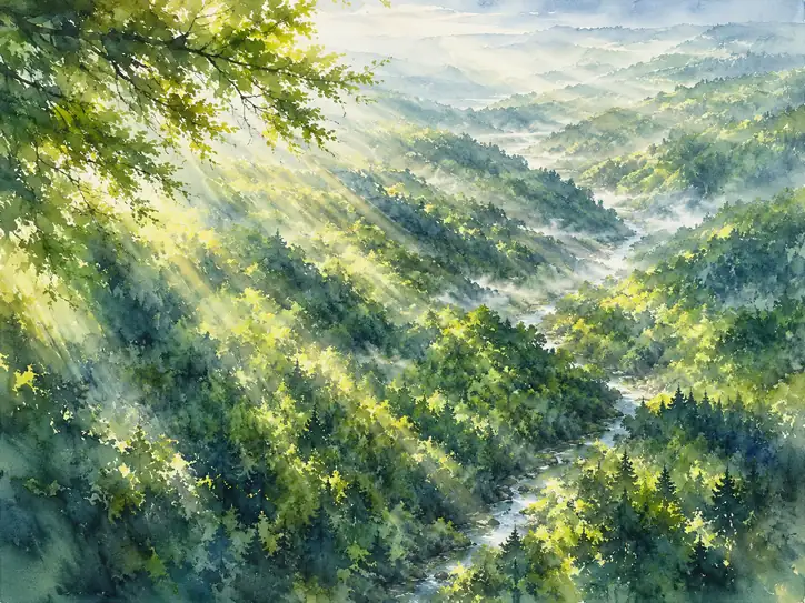 Light's Blessing in the Sacred Gorge
