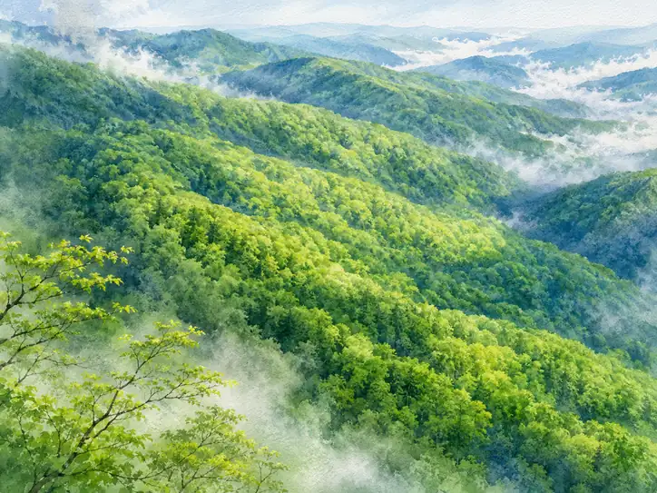 Layered Emerald Silence