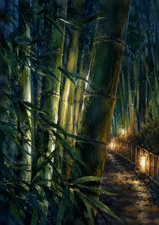 Guiding Light through the Whispering Bamboo