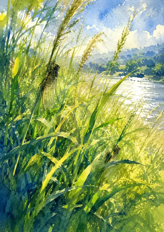 A Summer Song of Light and Wind