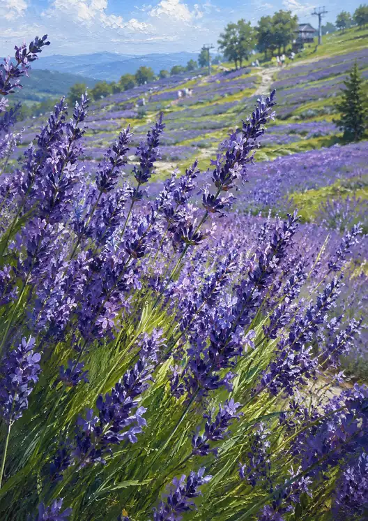 A Cabin in the Lavender Sea