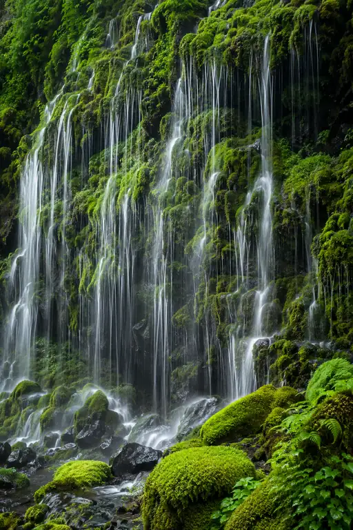 翠苔に紡がれる糸滝