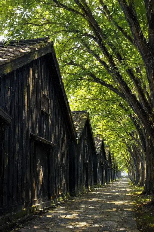 Time Framed by Green Canopies