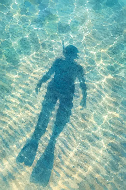 A Shadow's Dream of Sea