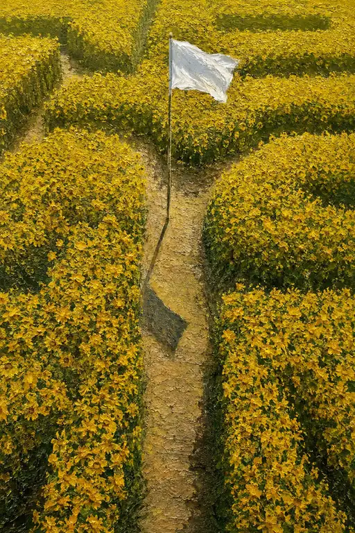The Beacon of Sunflower Field