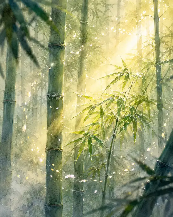 竹林を渡る光芒の清籟