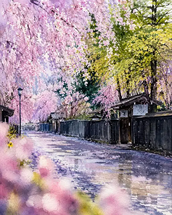 After Rain, Blossoms Cross the Wall