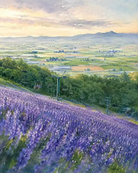 Above the Lavender, the World Widens