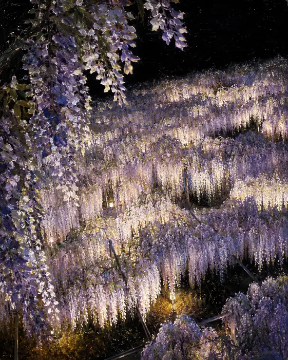 Blooming in Layers of Night