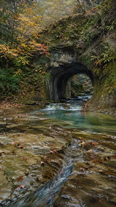 Autumn Passes Through Stone