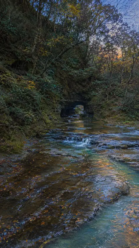 The Last Gold Follows the Stream